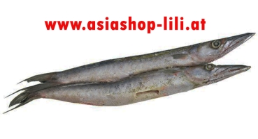 Barracuda