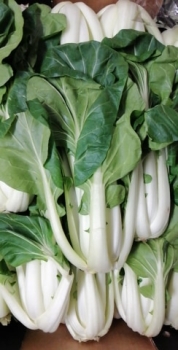 Pak Choi