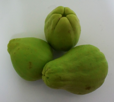 CHAYOTE,LABOSIAM,CHOWCHOW