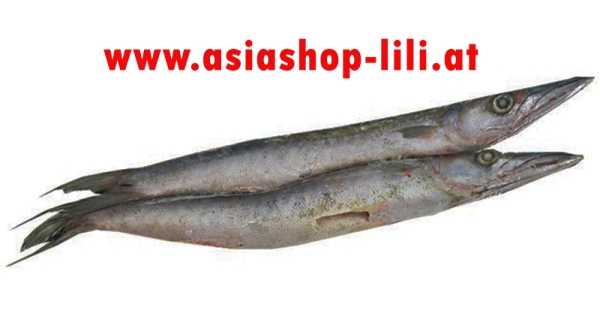 Barracuda